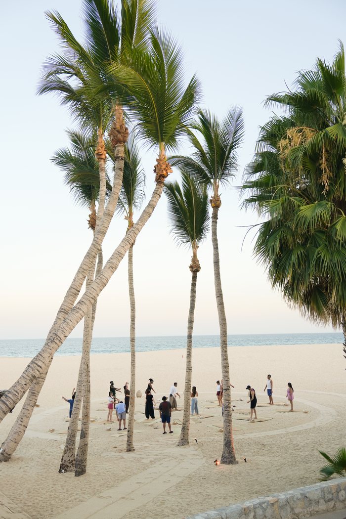 A group gathered in a circle on the sand, framed by tall leaning palm trees, with the sea behind them.